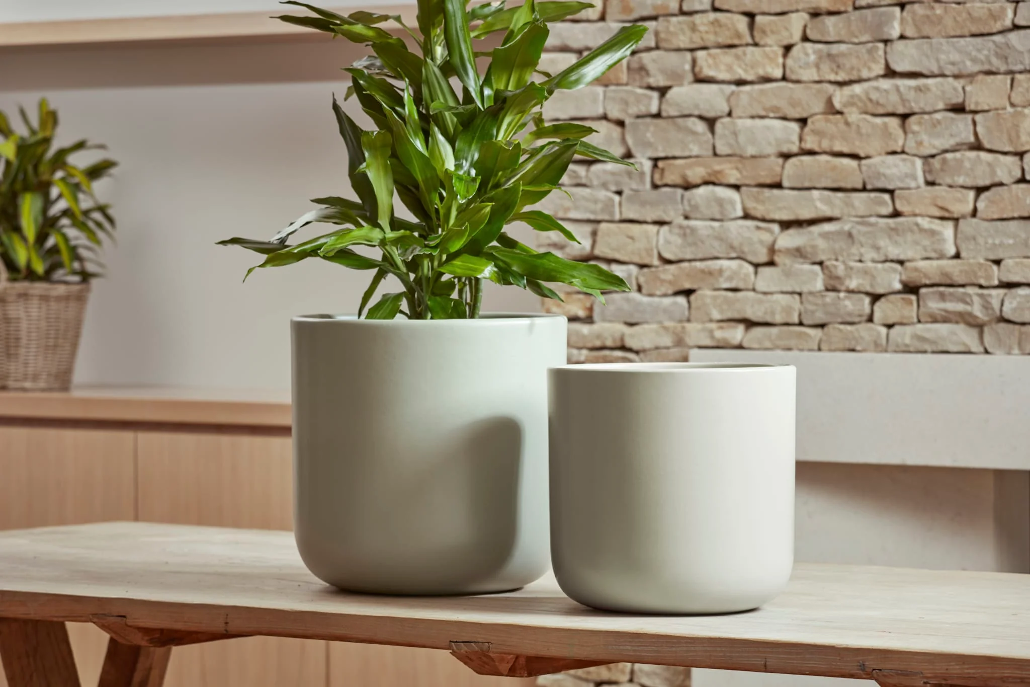 Capri Ceramic Plant Pot, Sage Green - Image 2