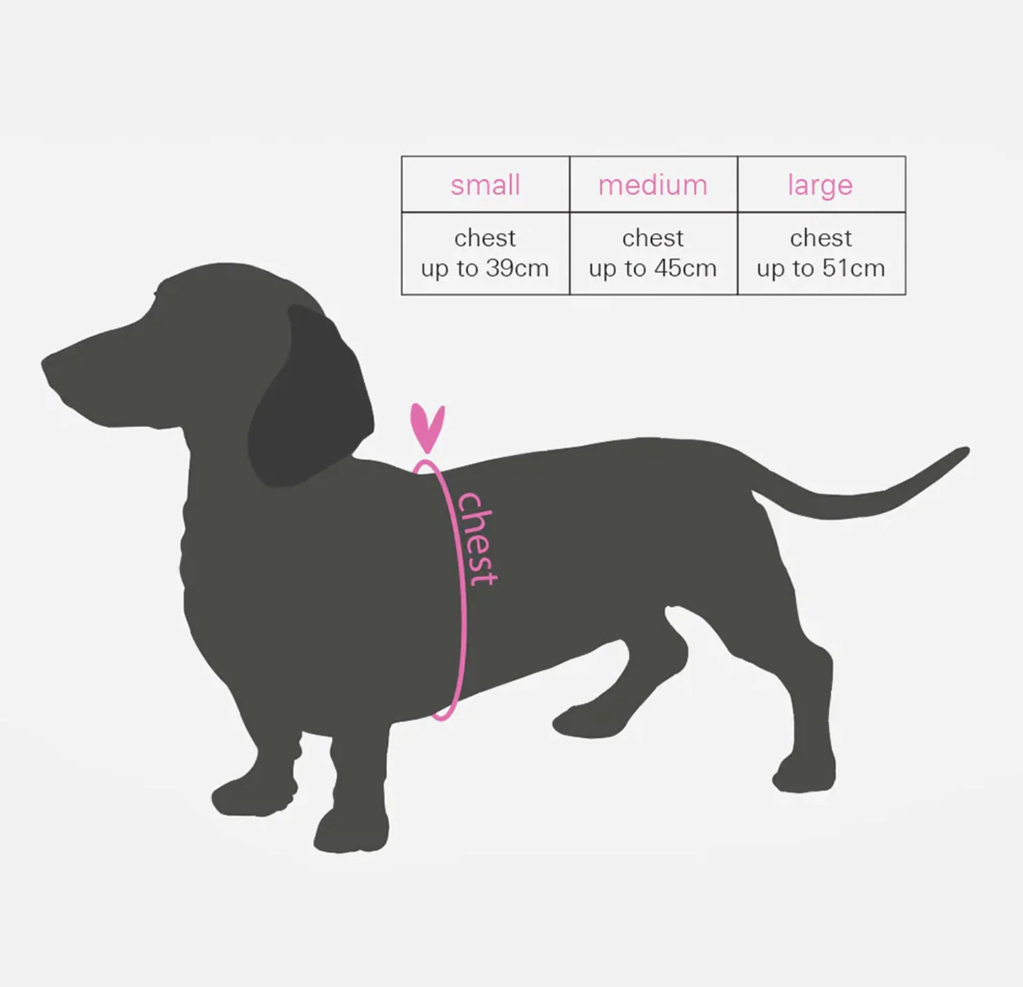 Caroline Gardner Dog Harness, Hearts - Image 10
