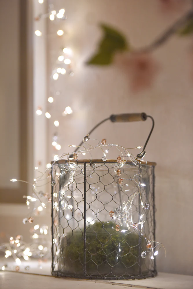 Coco Cluster Fairy Lights ( Mains Powered) - Image 3