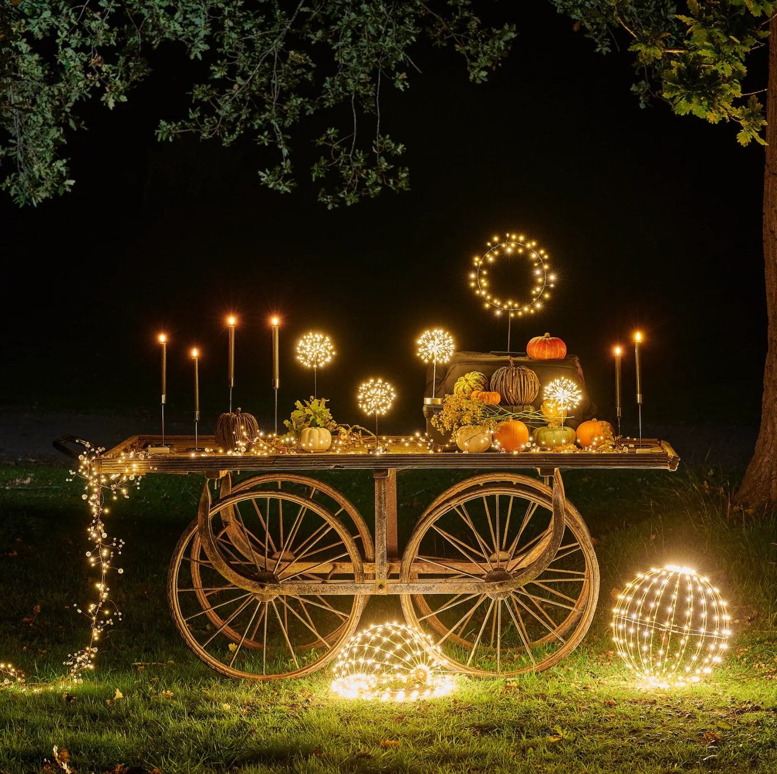 Dandelion Mini Table LED Fairy Light, Black - Image 4