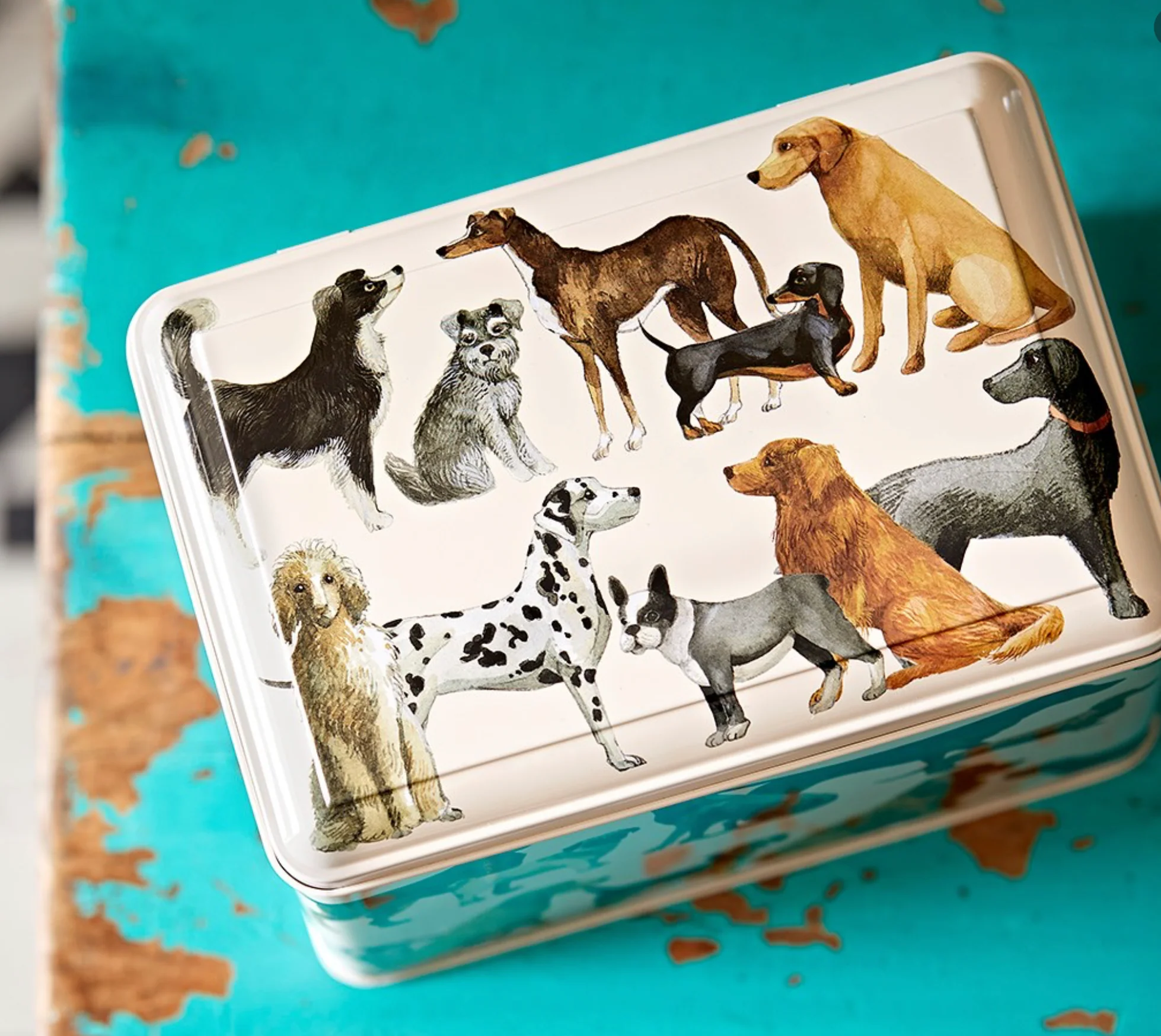 Emma Bridgewater Large Dog treat Caddy, Dogs - Image 4