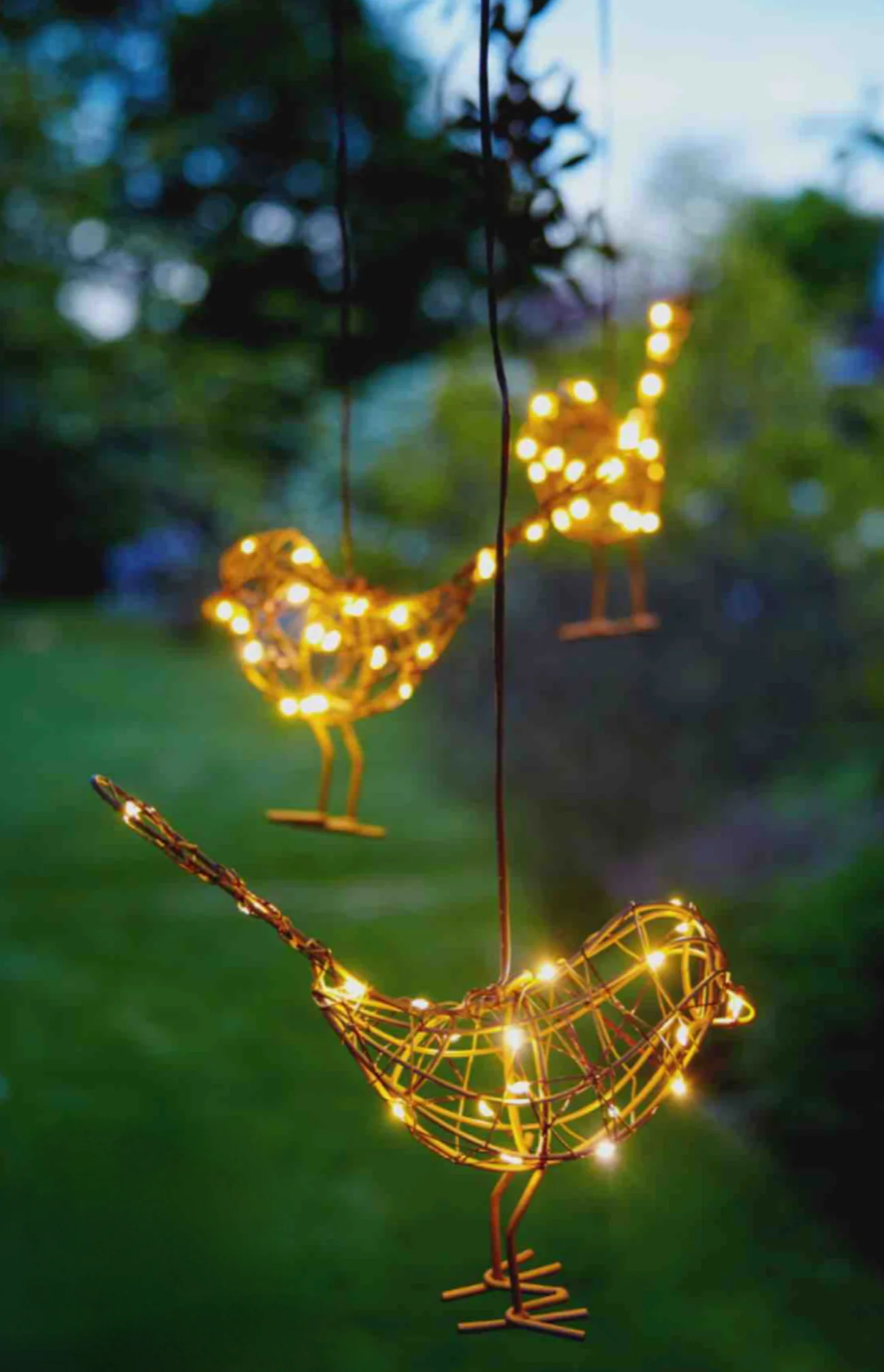Hanging Robin  LED Fairy Light (Battery Powered) - Image 4
