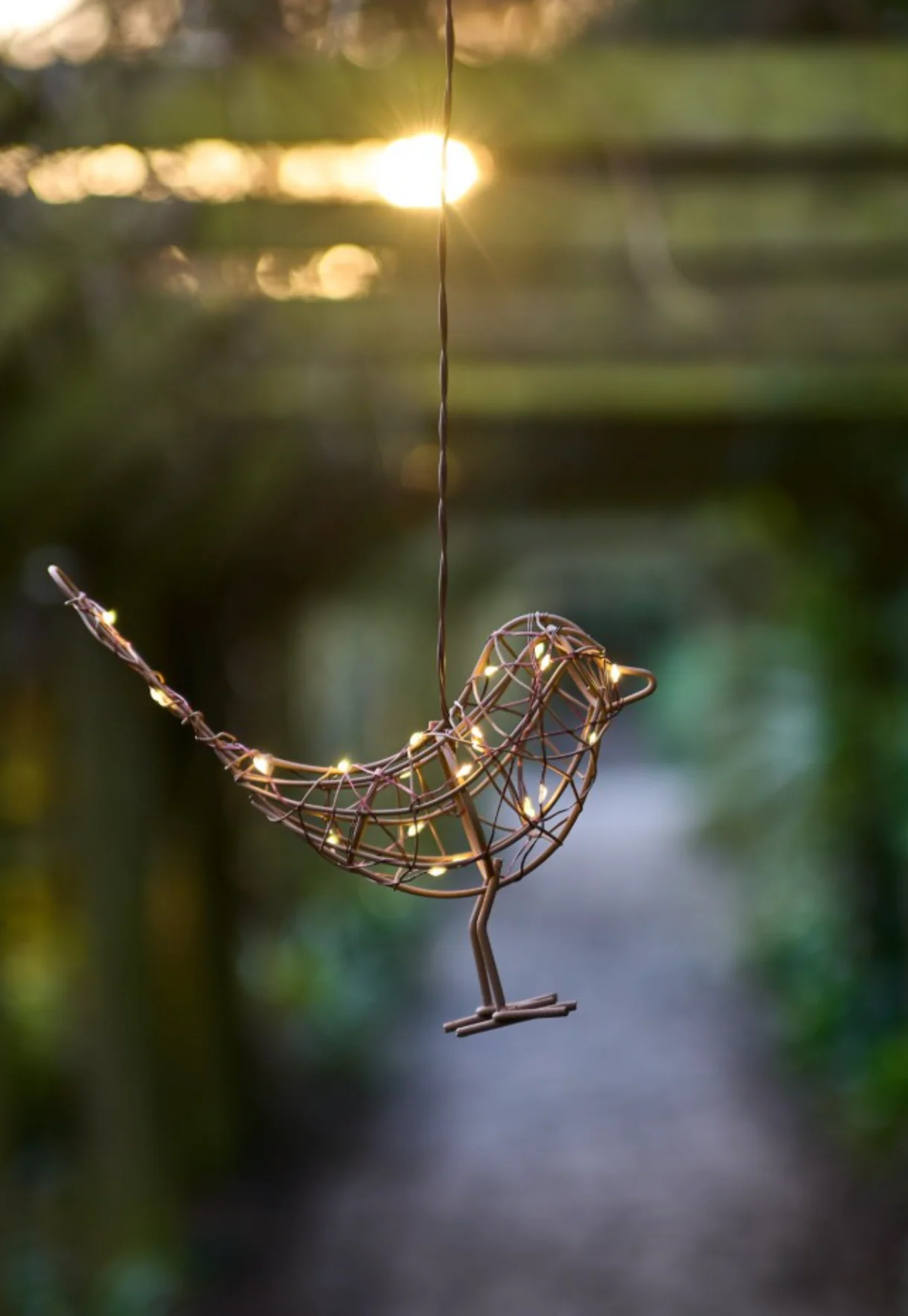 Hanging Robin  LED Fairy Light (Battery Powered) - Image 5