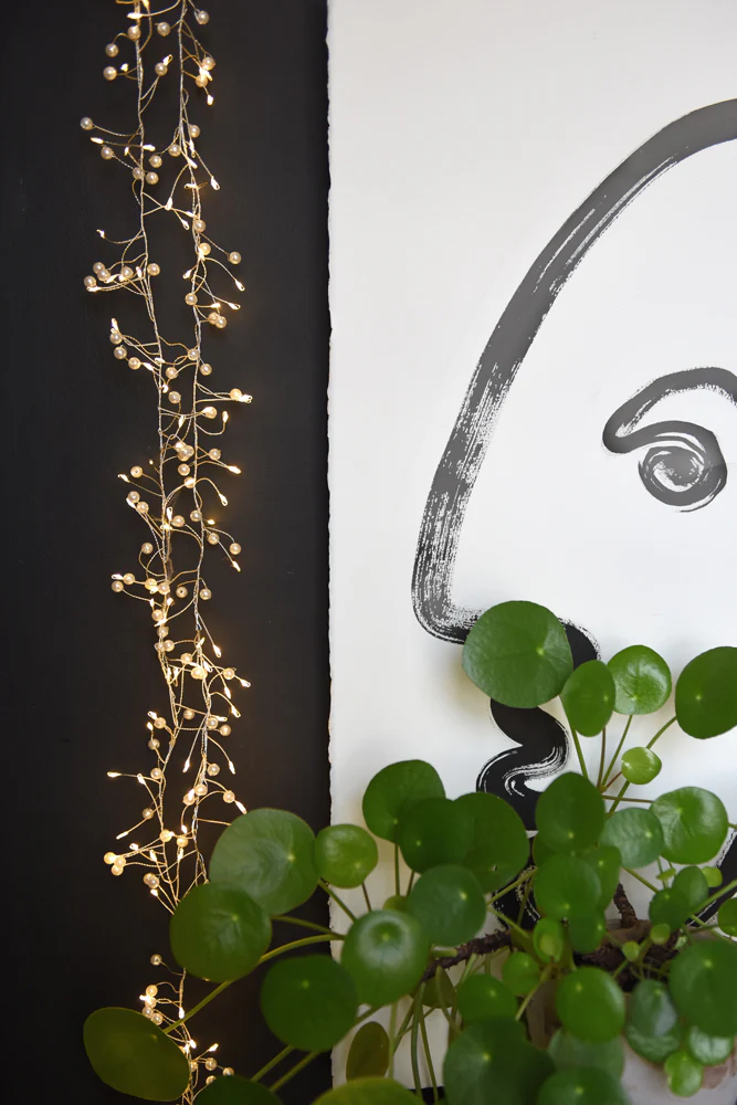 Pearl Cluster LED Fairy Lights (Battery Powered) - Image 4