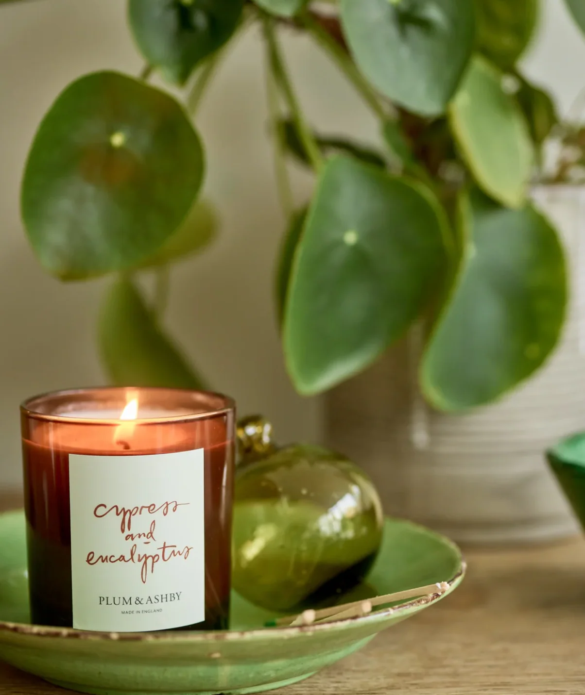 Plum & Ashby Scented Candle, Cypress & Eucalyptus - Image 3