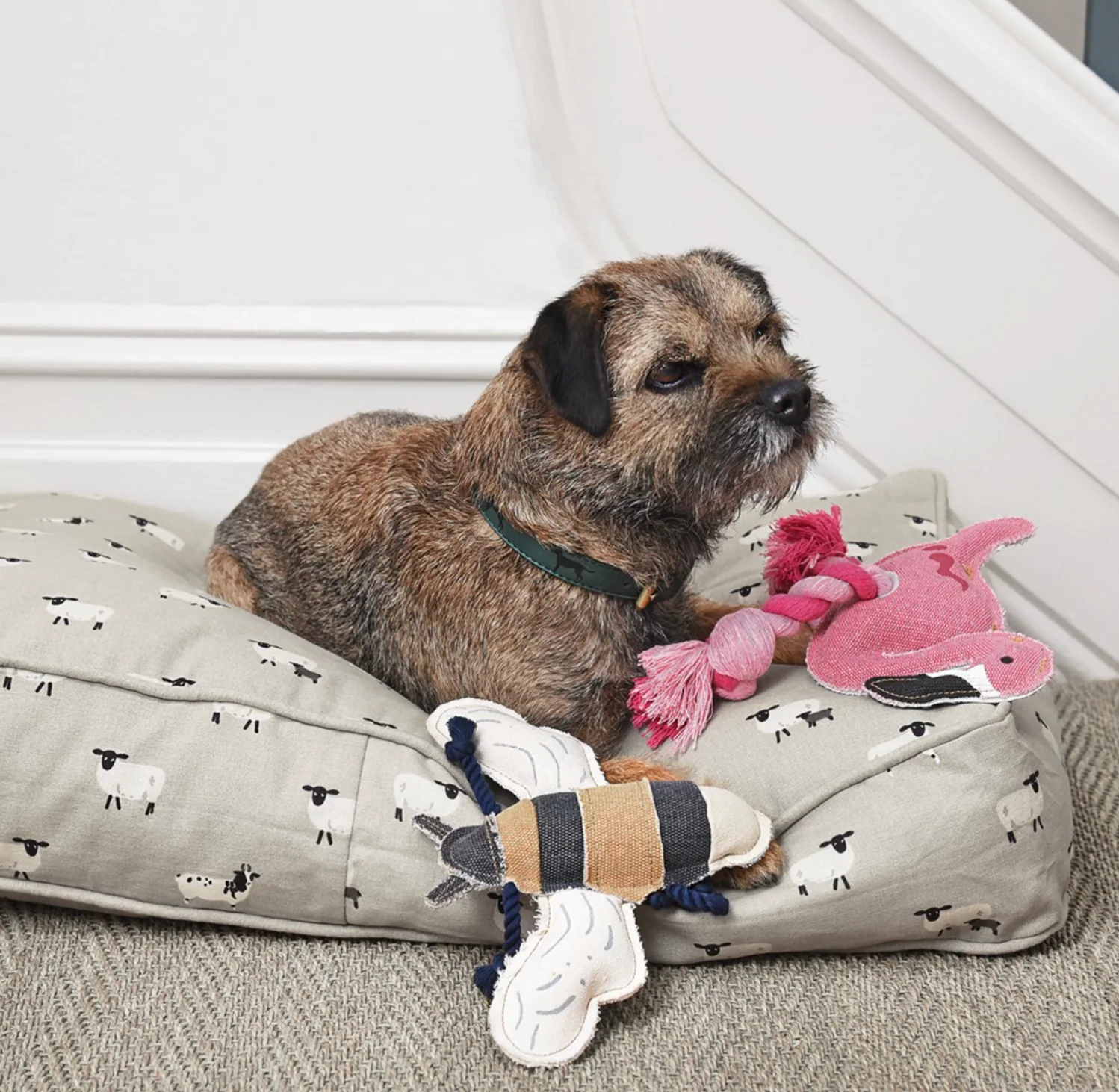 Sophie Allport Dog Toy, Bee - Image 2