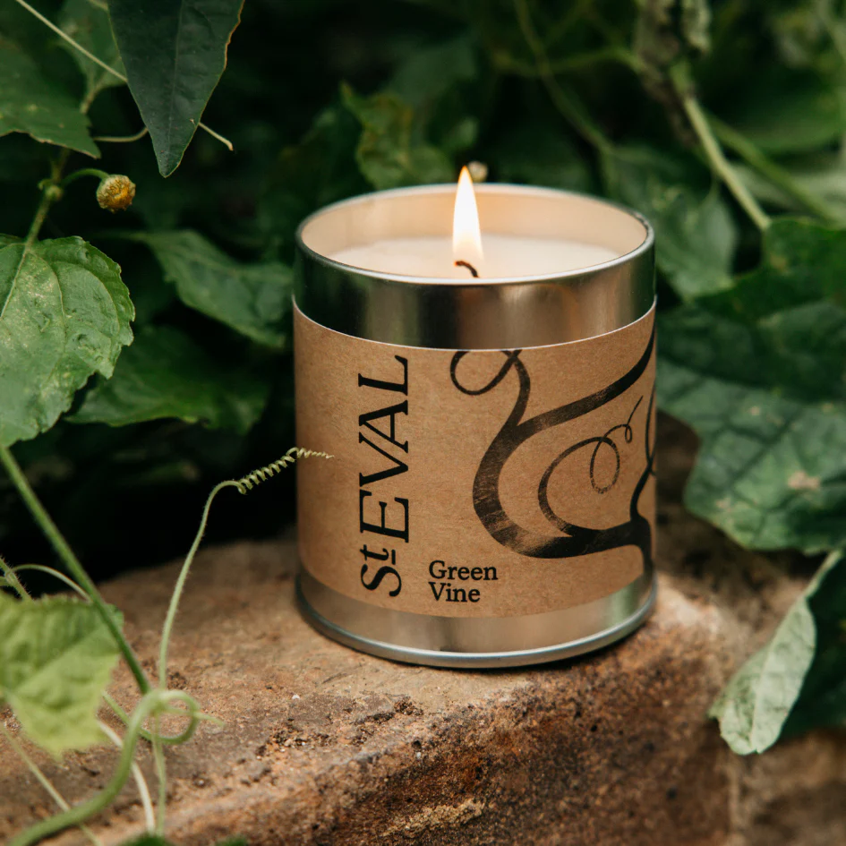 St Eval Green Vine Scented Tin Candle - Image 4