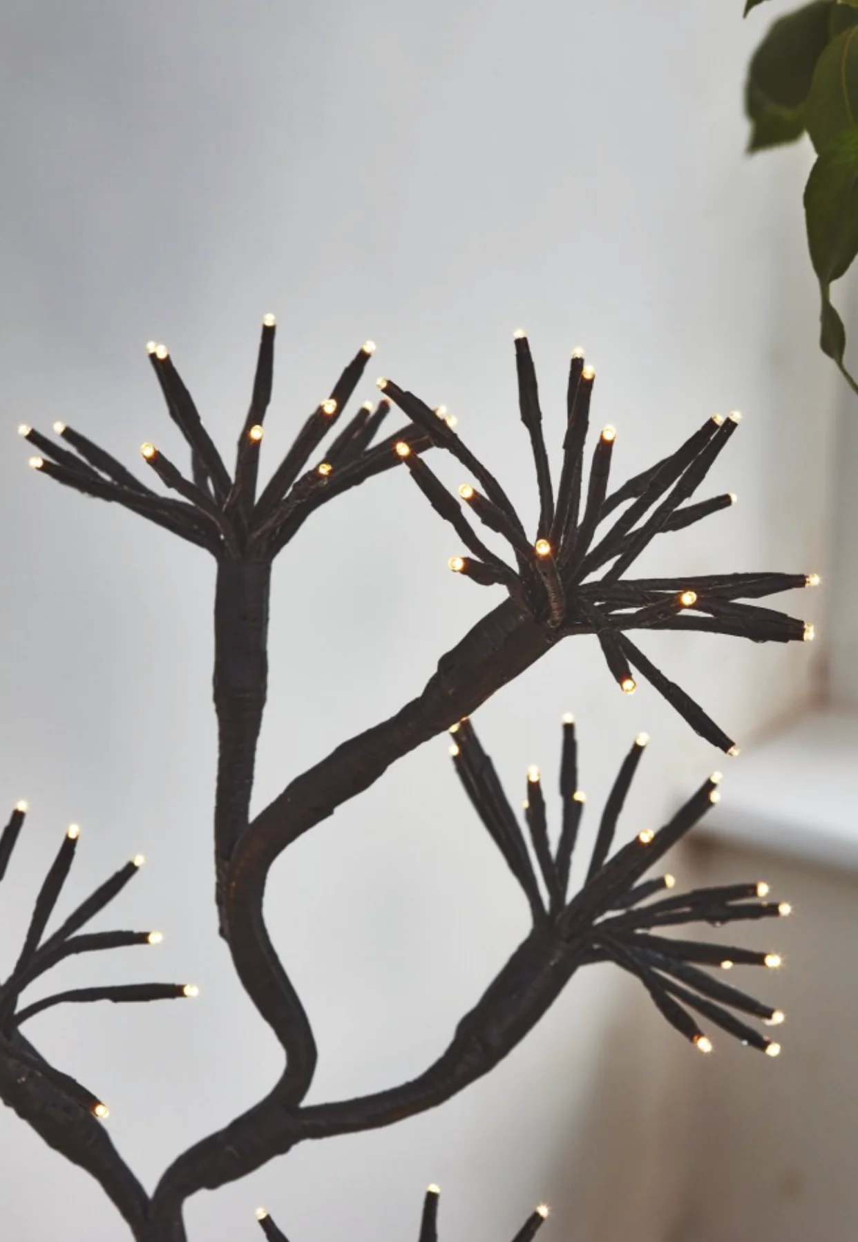 Starburst Branch LED Fairy Light (Dual Powered) - Image 4