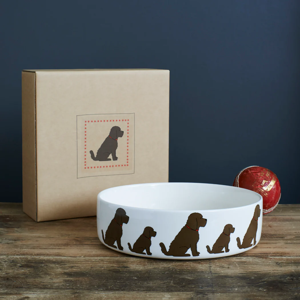 Sweet William Ceramic Dog Bowl, Cockapoo (Chocolate) - Image 4