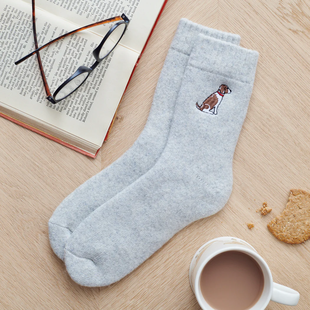 Sweet William Dog Walker Socks, Springer Spaniel, Brown & White - Image 2