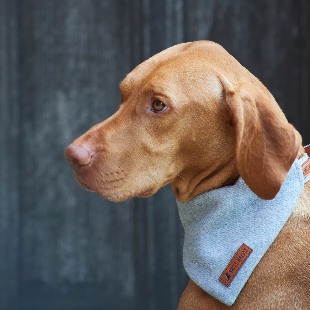 Sweet William Tweed Dog Bandana, Grey - Image 3