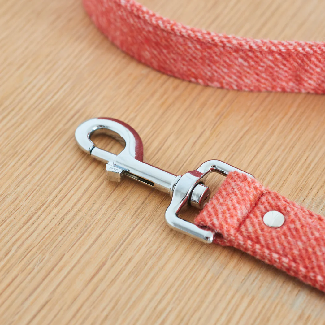 Sweet William Tweed Dog Lead, Orange - Image 4