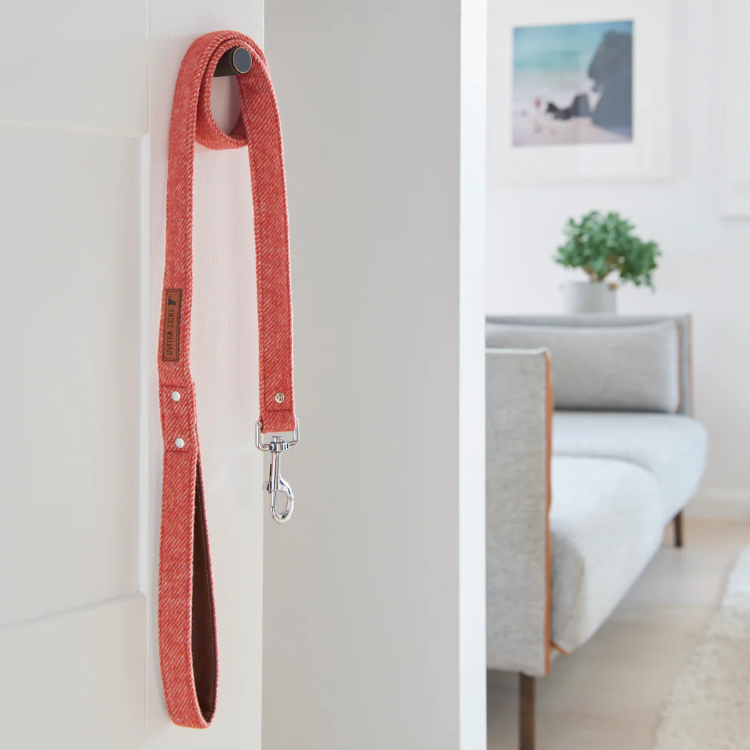Sweet William Tweed Dog Lead, Orange - Image 5