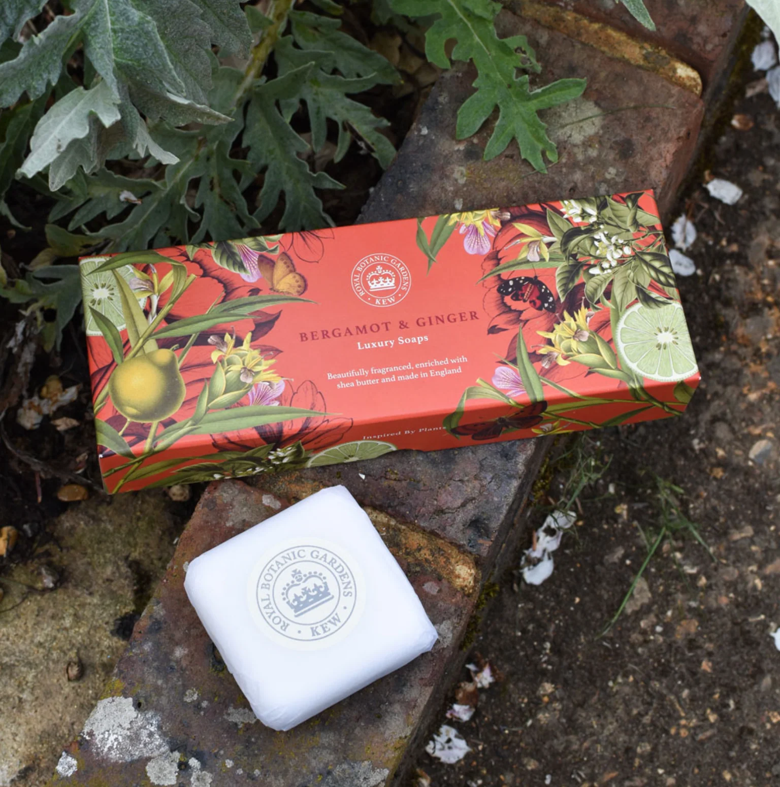 The English Soap Company Kew Gardens, Bergamot & Ginger Triple Soap Gift Box - Image 7