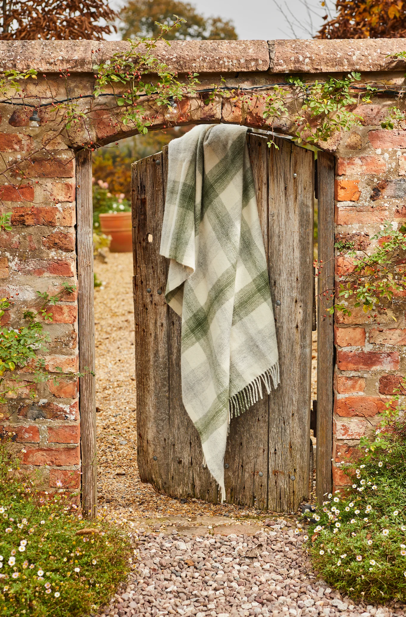 Tweedmill Meadow Check Pure New Wool Throw, Olive - Image 3