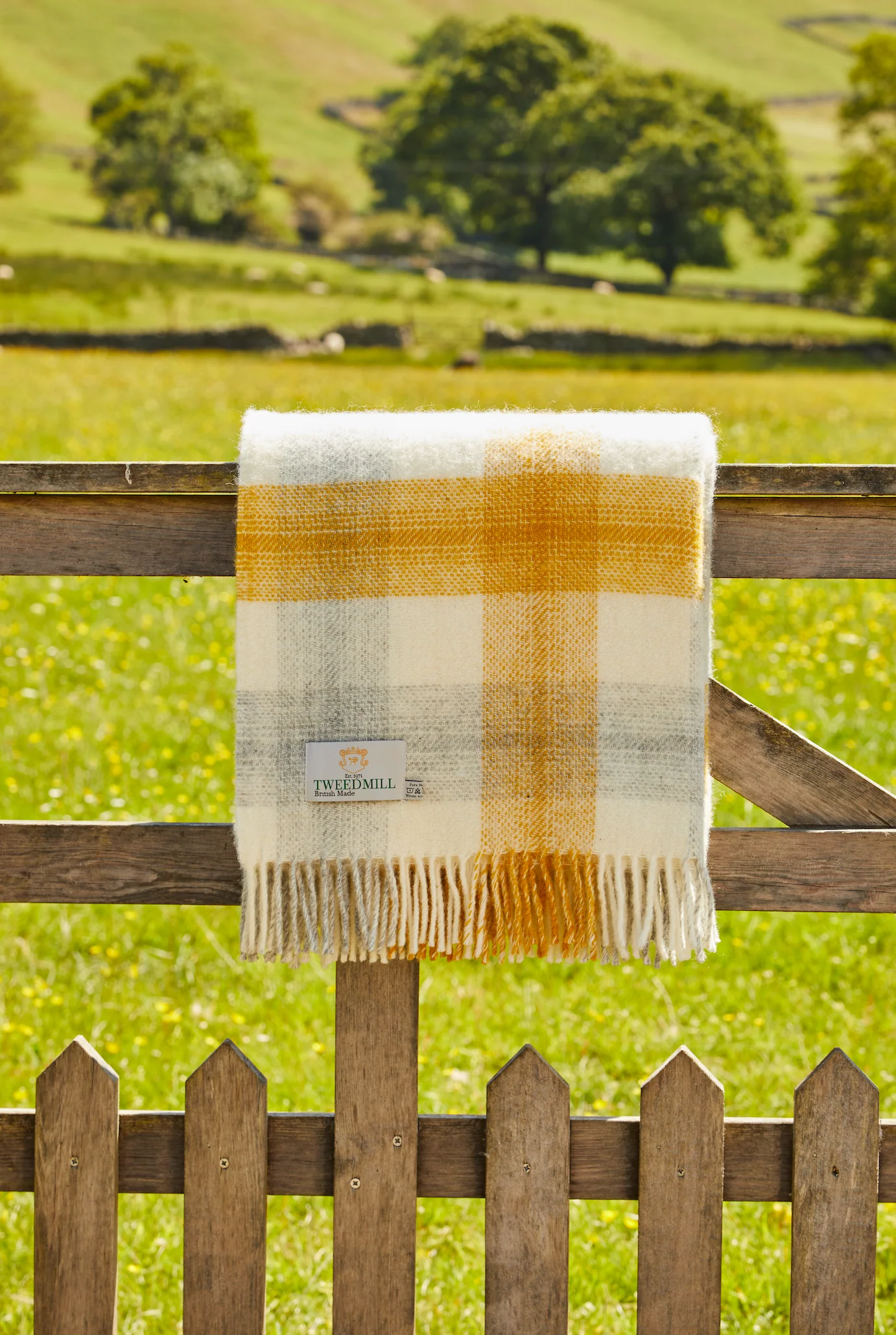 Tweedmill Meadow Check Pure New Wool Throw, Yellow - Image 4